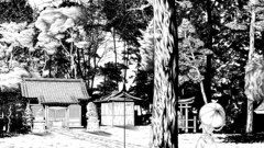 Touhou yakumo yukari Umbrellas