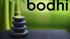 Tower Linux rocks Bodhi Linux