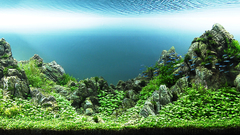 Towering peaks 2009 high