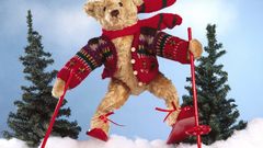 Toy Bear winter xmas