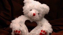 Toys Bears