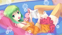 Toys Books ornaments shirts pillows skirts couch anime girls 