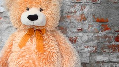 Toys children Gifts teddy bears