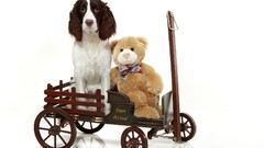Toys Dogs white background pets teddy bears wagons