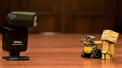 Toys WALL E funny