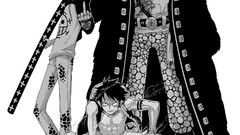 Trafalgar Law One Piece (anime)