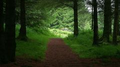 Trail Cool Ireland some have anyone ones