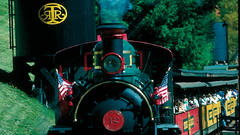 Train ) With passengers