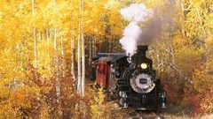 Trains railroad tracks steam