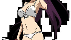 Transparent infinite stratos shinonono