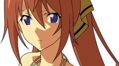 Transparent infinite stratos shinonono