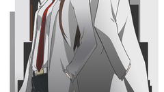 Transparent steins gate makise