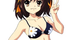 Transparent the melancholy of