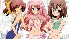 Trap baka to test to shoukanjuu himeji mizuki kinoshita 