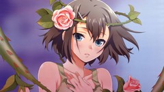 Trap blue eyes baka to test to shoukanjuu kinoshita hideyoshi 