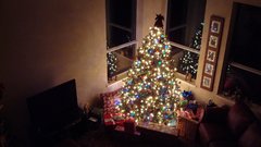 Tree Christmas House chamber