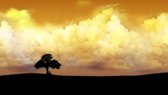 Tree here You alone high under Resolution