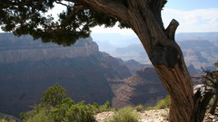 Tree hills canyon Another scenery grand rim