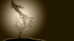 Tree lighting abstract