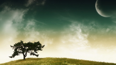 Tree nature clouds moon