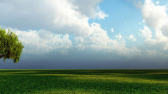 Tree ok getting bored