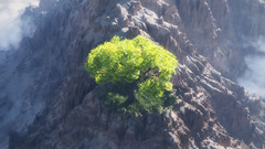 Tree peak high Resolution jonxr