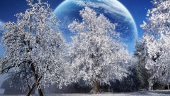 Tree planet photography background