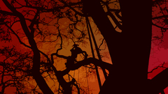 Tree surgeon red color