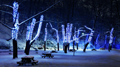 Tree think aerospace is