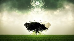 Trees abstract fields