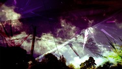 Trees abstract skies