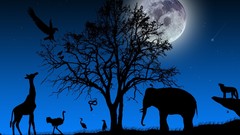 Trees Animals moon Birds snakes Giraffes ostrich silhouettes 