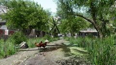 Trees Animals nature