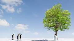 Trees Animals Penguins