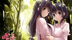 Trees anime girls black hair saki forests Jindai Komaki Iwato 