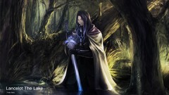 Trees Anime lakes Swords fate zero fate series capes Berserker 