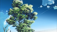 Trees Anime skyscapes