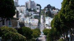 Trees architecture buildings streets cityscapes