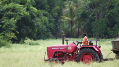 Trees architecture fields tractors