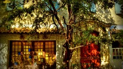 Trees architecture houses outdoors Lumiere