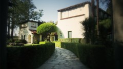 Trees architecture houses paths buildings tropical