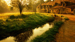 Trees architecture Landscapes Garden