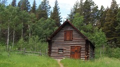 Trees area glacier fields 2008 glacier national park Log cabin