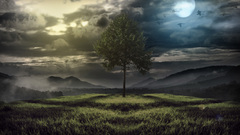 Trees artwork digital art fantasy art