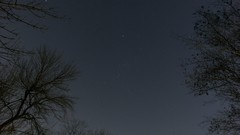 Trees astronomy Orion long exposure