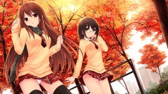 Trees autumn Anime glasses tie red eyes skirts scarfs blush 