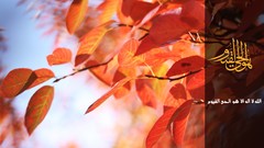 Trees autumn Islam Arabic