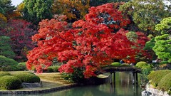 Trees autumn Japan colors Bridges lakes