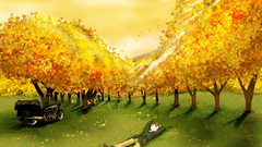 Trees autumn Kino no