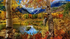 Trees autumn lakes forests